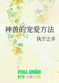 神兽的宠爱方法作者执宁之手