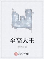 至高君王怎么样